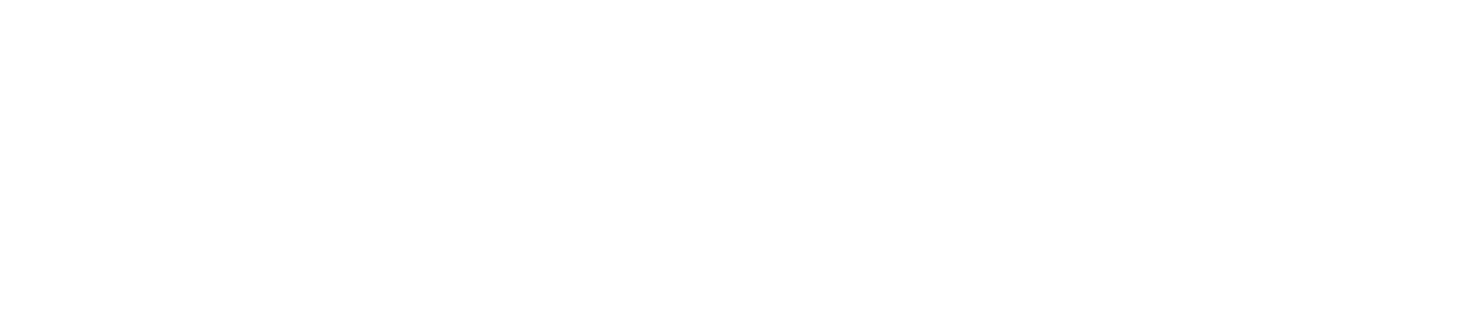 Arista Networks Logo